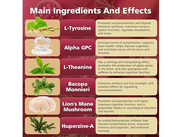 UIMISX Brain Supplement