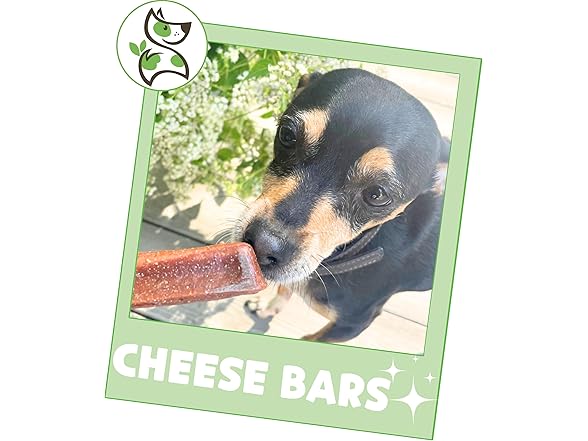 Nature Gnaws Bacon Cheese Bar Chews for Dogs