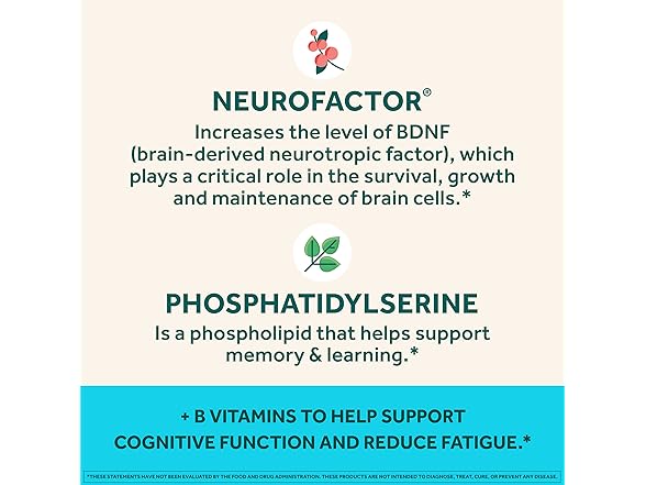 NEURIVA Plus Brain Gummies 50ct