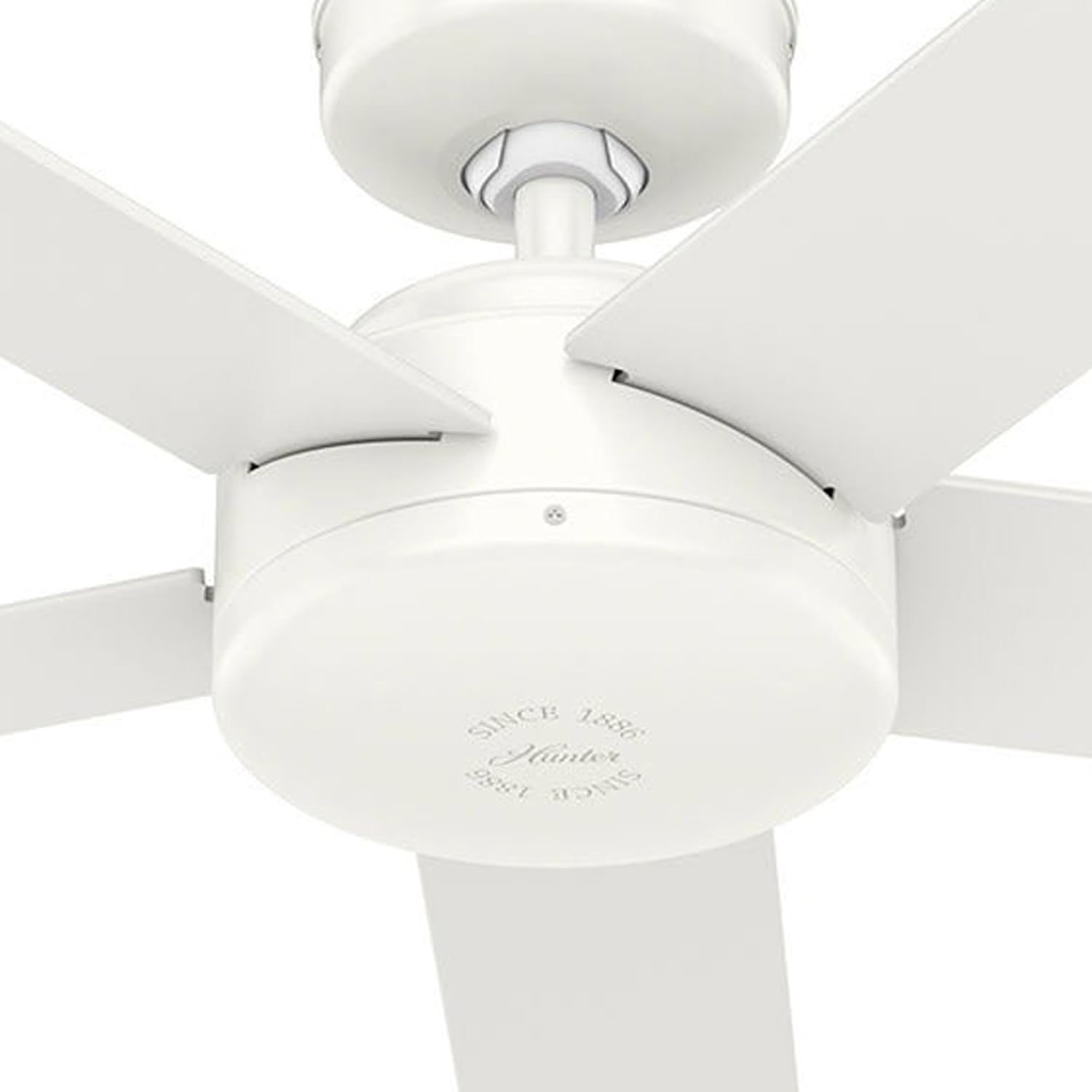 Hunter Fan 52" Ceiling Fan w/ Remote - Gallery 12