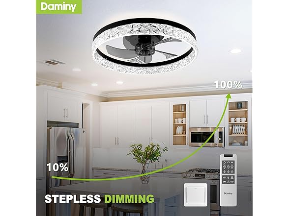 DAMINY Ceiling Fandelier with Lights | 20in