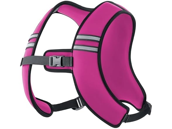 Zelus Pink Weighted Vest 10lb