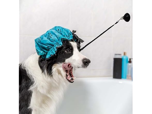 TaiyeHao 4 Pieces Dog Bathing Tether