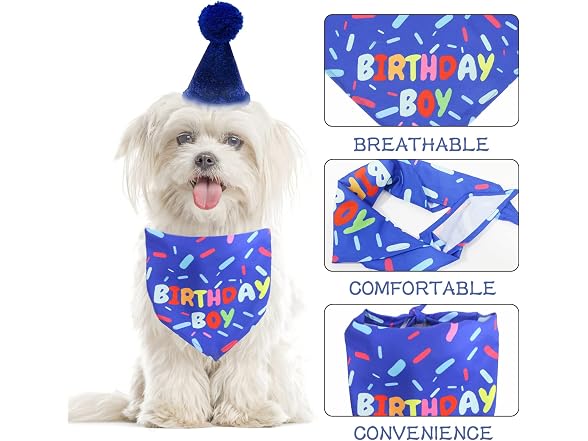 Dog Birthday Bandana Scarf, Boy Dogs Birthda
