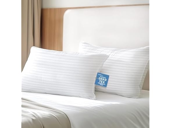 Cotelovo Down Alternative Queen Pillows