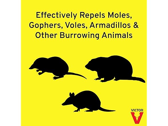 Victor Mole Repellent 64oz