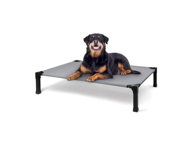 Heeyoo BC2021025050002 Elevated Dog Bed