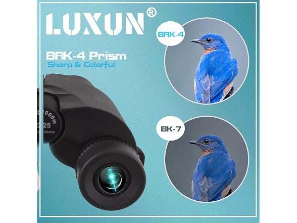 LUXUN 12x25 Compact Binoculars