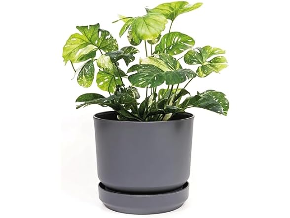 Elly Décor 8" Plastic Cylinder Planter