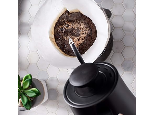 brim Temperature Control Electric Kettle