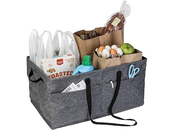 Honey-Can-Do Large Trunk Organizer