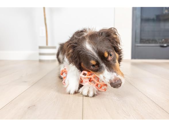 Chuckit! Chuckit! Holee Roller Dog Treat Puzzle