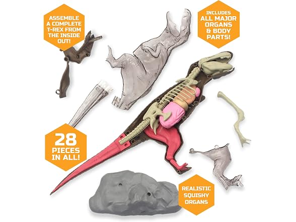 Discovery™ 4D T-Rex Anatomy Kit