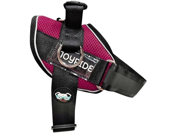 Joyride Summer Mesh No-Pull Dog Harness 2.0