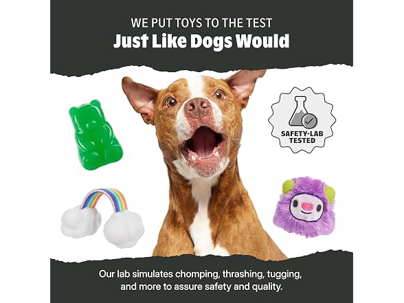 BarkBox Plewsh Gator Tug Dog Toy - Small Dogs