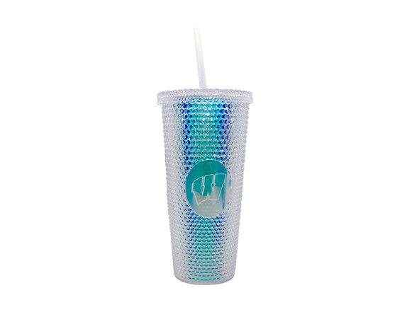 WISCONSIN Premium Studded Tumbler
