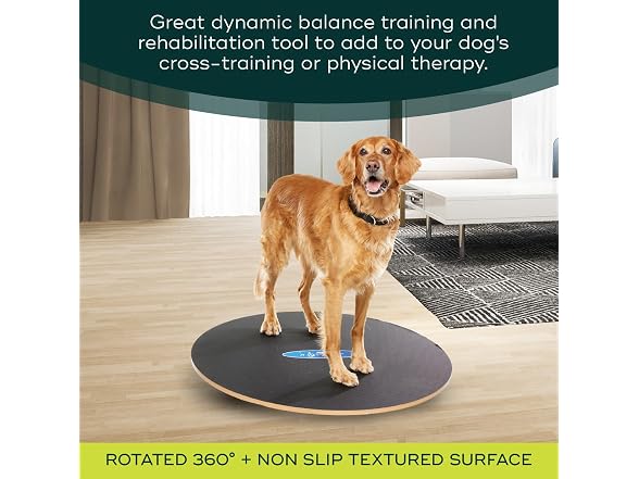 FitPAWS Wobble Board - Dog Balance Training E