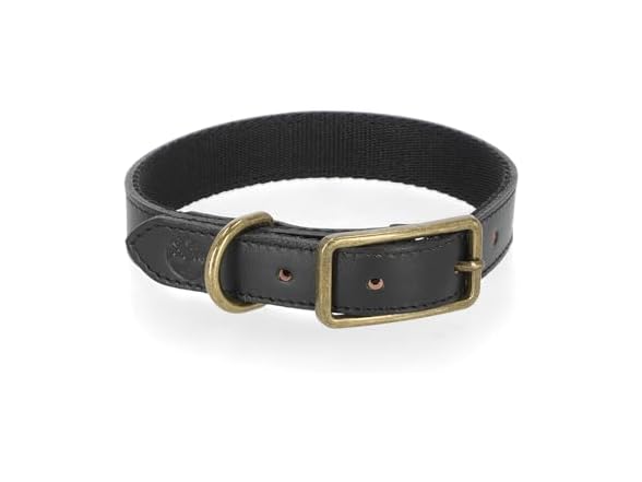 Timberland Leather Dog Collar, Heavy Duty Dog Collar