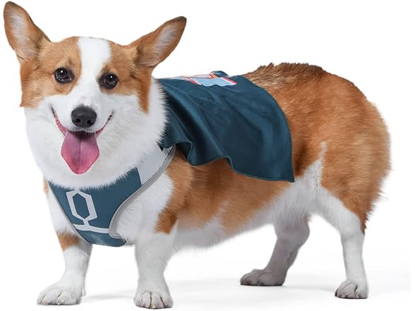 STAR WARS for Pets Boba Fett Dog Harness Wit
