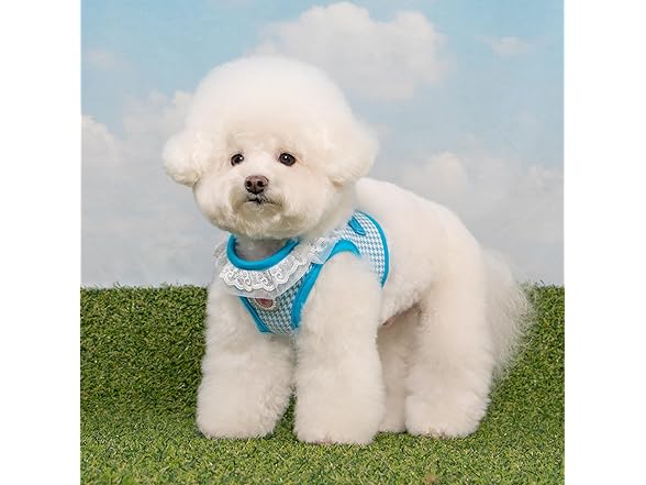 Pinkaholic New York Davina Dog Vest Harness