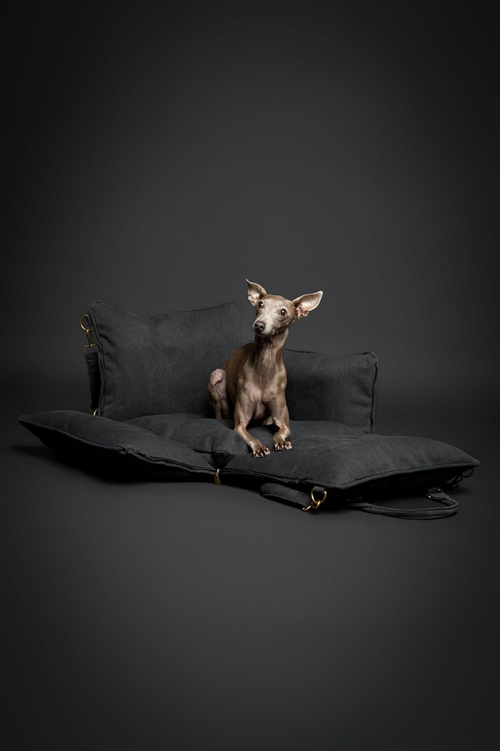 NOAH & PAW Canvas Dog Car Seat Carrier - Gallery 11