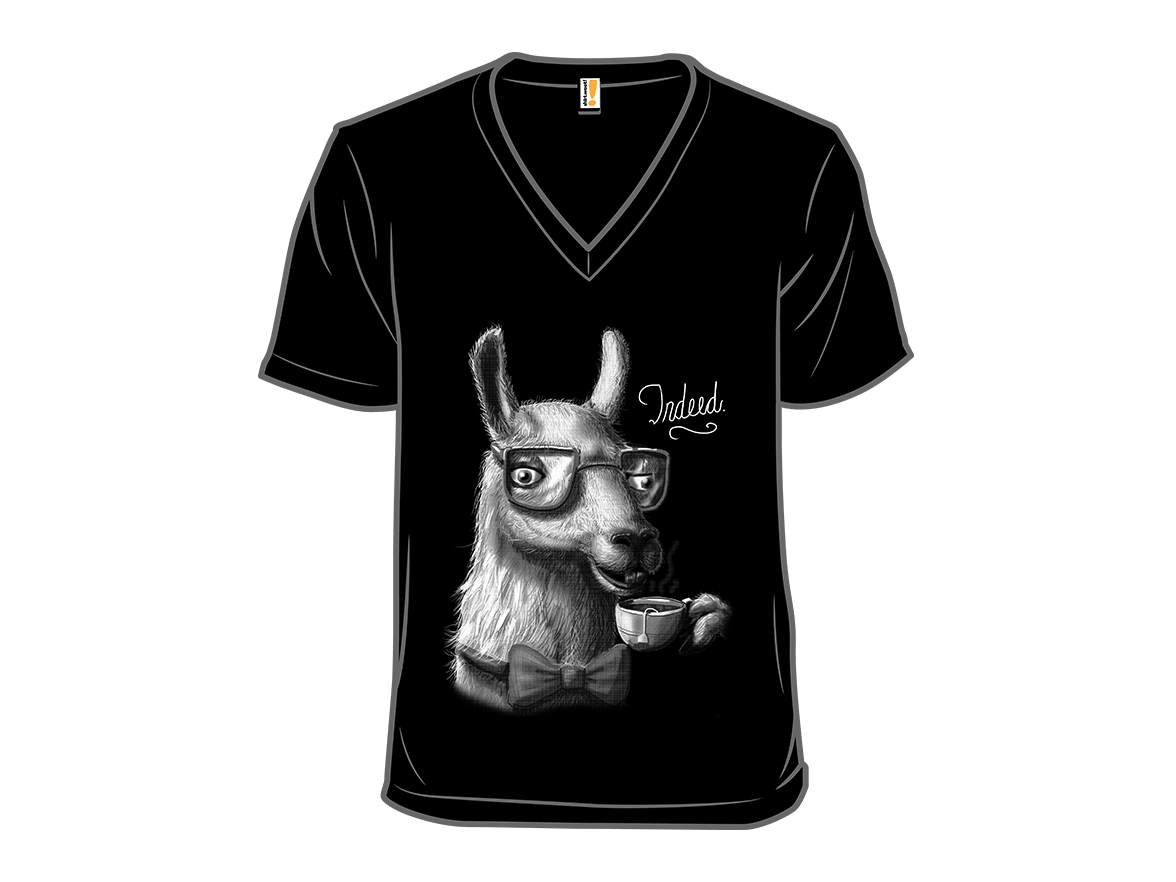 The Fancy Llama - Gallery 10