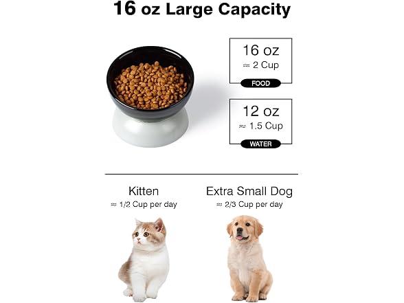 ABRUTY Cat Water Bowl, 16 OZ Ceramic Elevated