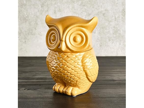 Elements 6.22x5.67x8.7 Inch Tan Ceramic Owl Cookie Jar