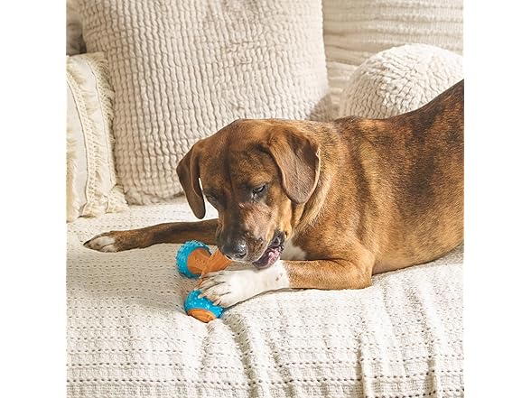 SPOT Bam-Bones PLUS Gigglers Dog Toy