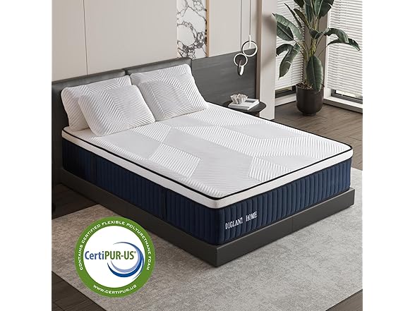 DIGLANT King 14" Plush Euro Top Mattress