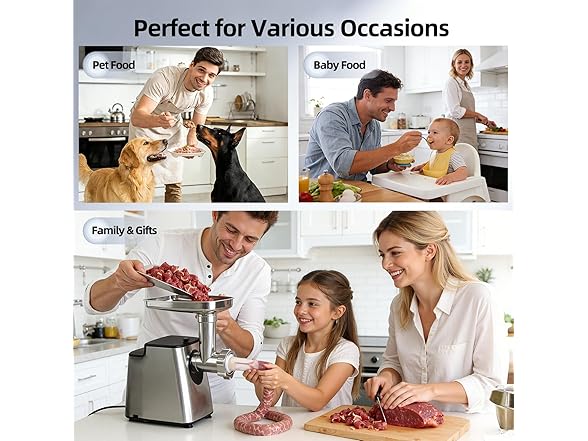 Stainless Steel Food Processor