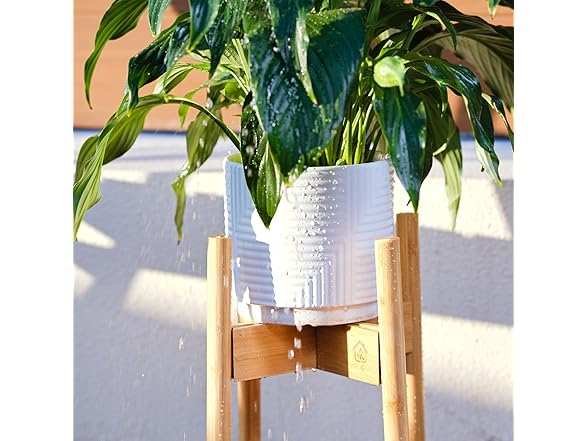 Bamboo Plant Stand Adjustable 8-11"