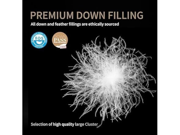 Feather Down Comforter