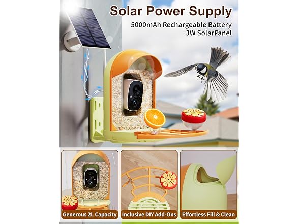 Solar Powered Bird Feeder with Camera