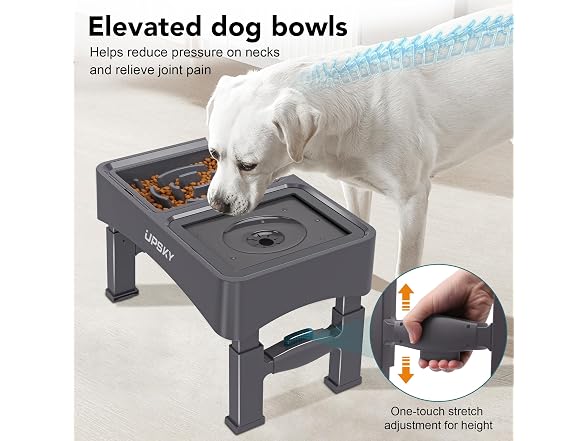 UPSKY 2-in-1 Elevated Dog Bowls Set
