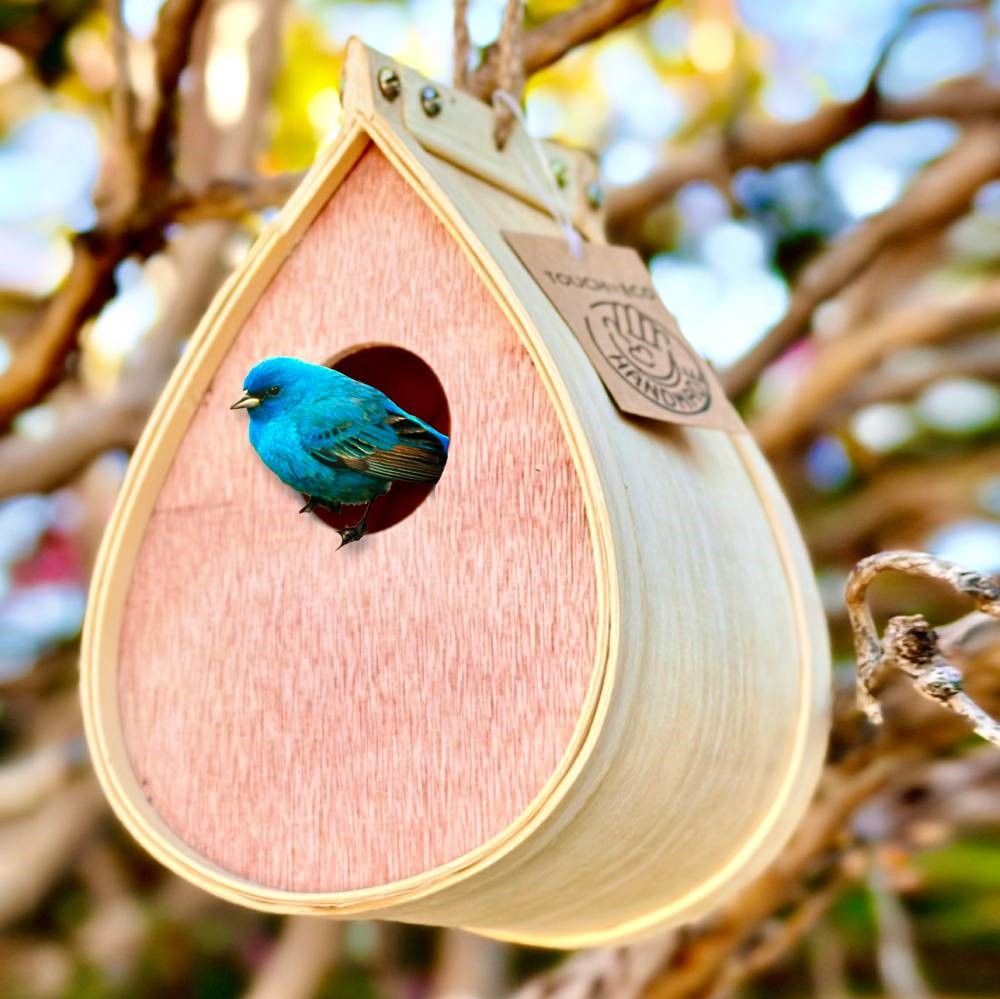 Pollinating Palace - Bird House 2Pk - Gallery 7