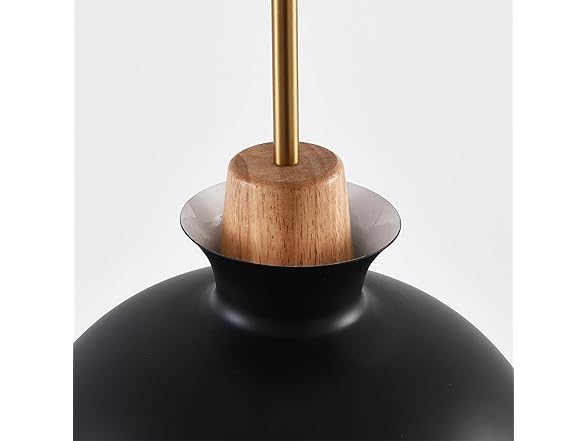 Parrot Uncle 11 Inch Pendant Light Fixture