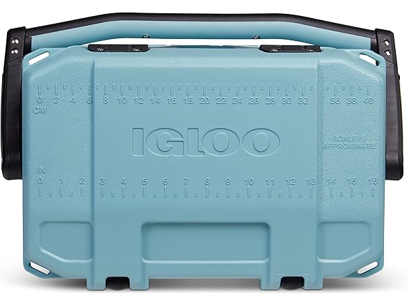 Igloo 25 Quart Celadon BMX Cooler