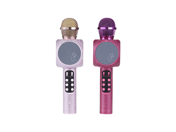 Wireless Karaok Wireless Speaker
