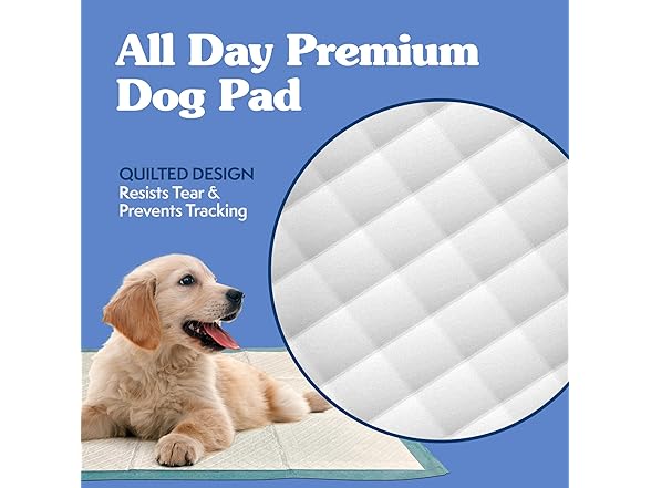 Simple Solution Training Puppy