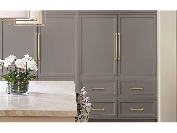 Amerock Corp | Appliance Pull | Golden Champagne