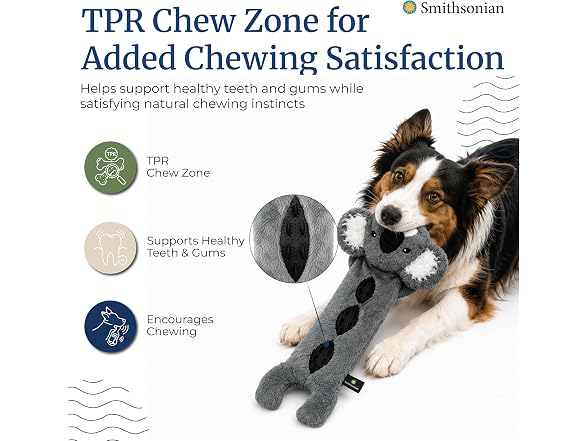 Smithsonian Long Animals Dog Toy – Stuffing-Free Koala