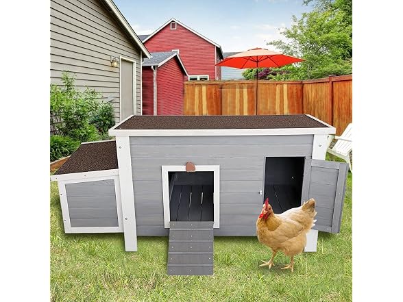 Petsfit Outdoor Chicken Coop with Run for 4-6