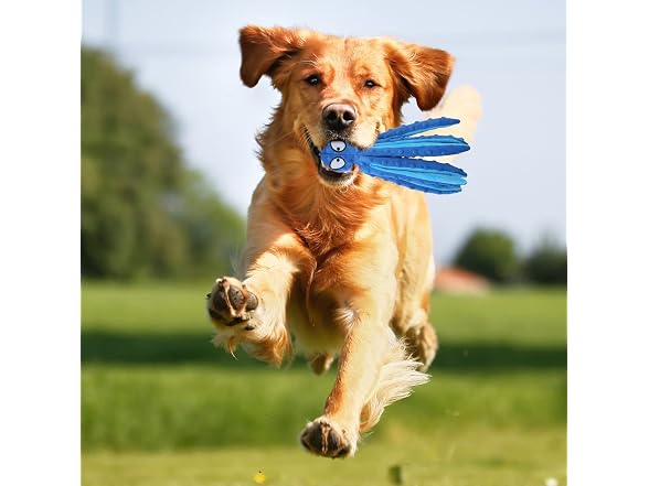 Generic Dog Toys for Small Dogs, Medium Dogs