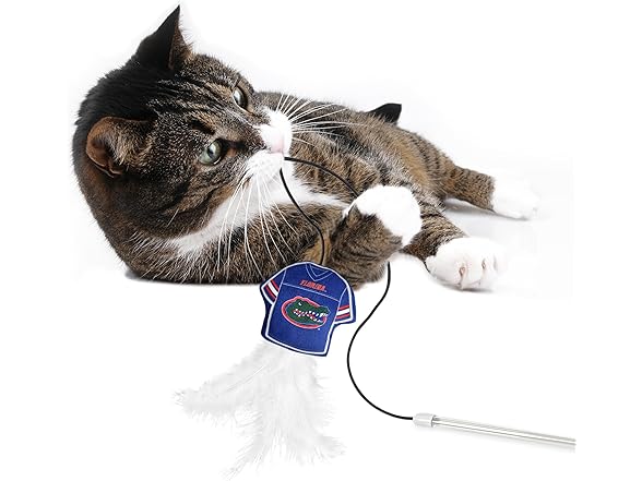 NCAA Florida Gators Team Jersey Wand with CAT NIP