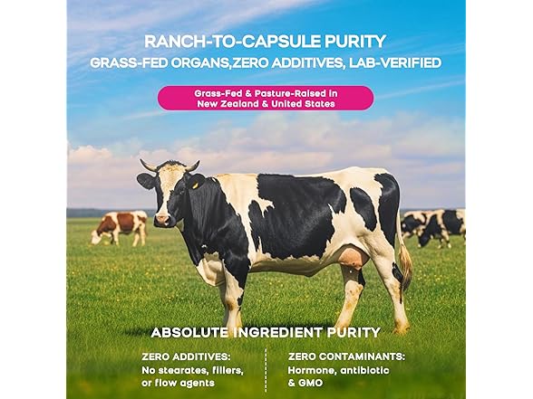Beef Organ Supplement for Women