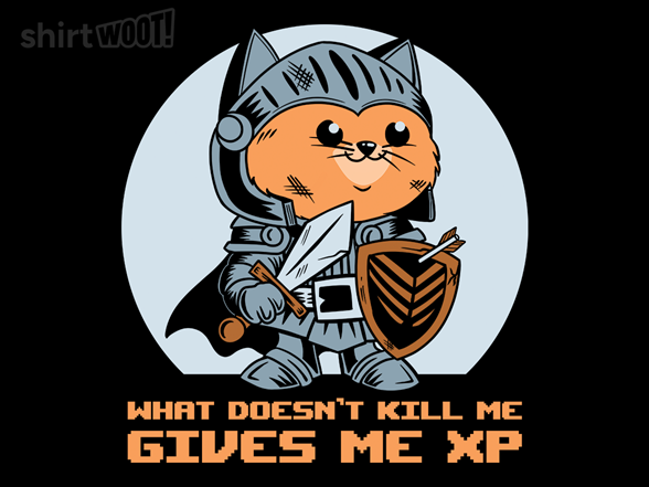 What Doesn?t Kill Me Gives Me XP Cat