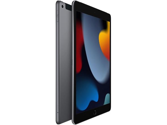 Apple 2021 iPad (10.2-inch, Wi-Fi + Cellular, 256GB) - Space Gray (Renewed) (Open Box)