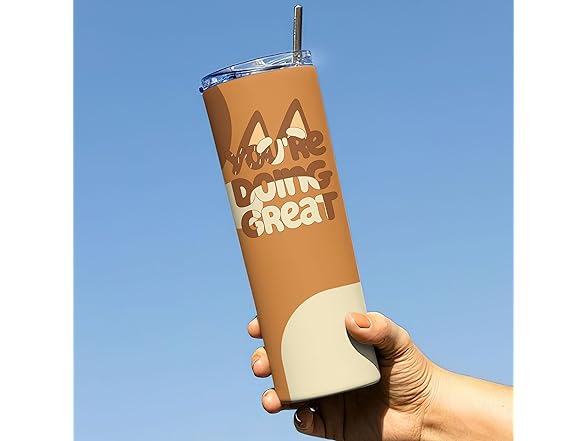 20oz Stainless Steel Skinny Tumbler