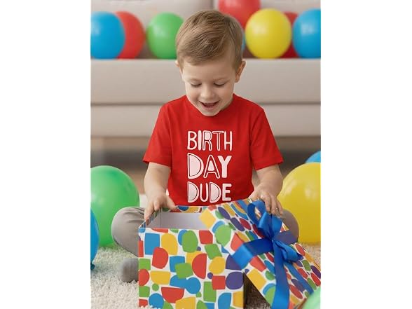 Tstars Boys (3T) It's My Birthday Dude Kids Shirt